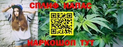 тгк Моздок