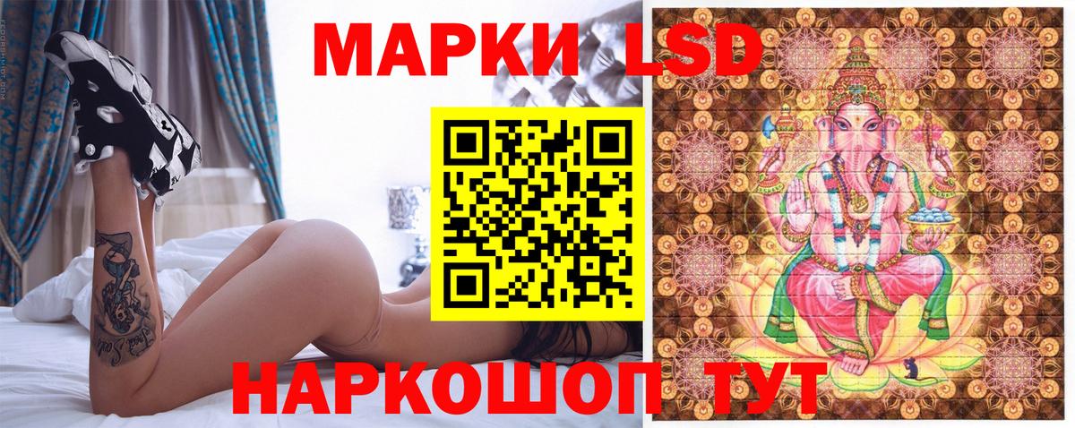 МЕФ Арсеньев