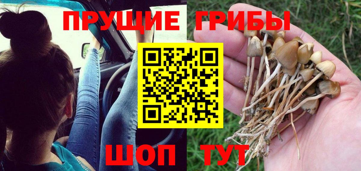 где купить наркоту  Псилоцибиновые грибы MAGIC MUSHROOMS  Вход с VPN  Арсеньев 